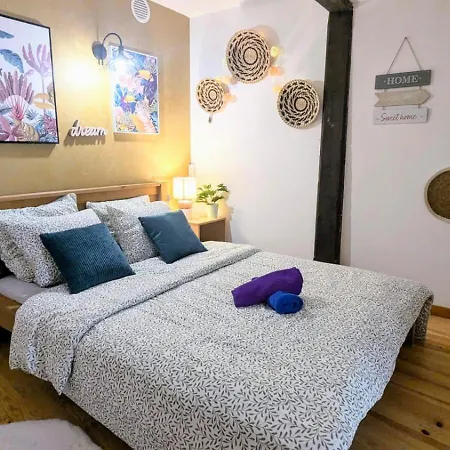 Cosy Planta - T2 - Hypercentre Apartment *